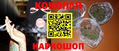 сатива Кудрово