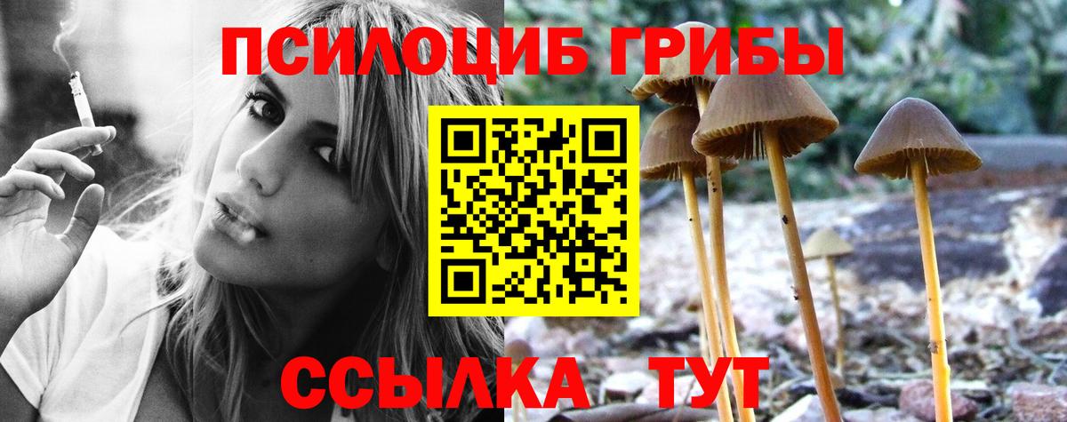 Галлюциногенные грибы мицелий  Галлюциногенные грибы мухоморы  Ленинск-Кузнецкий  Вход с VPN 