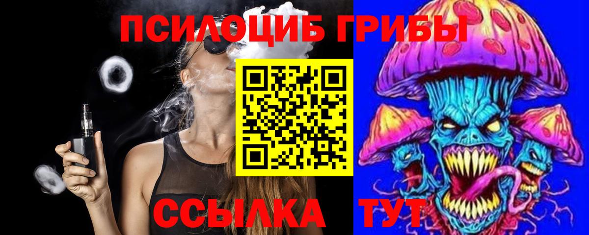 Псилоцибиновые грибы Psilocybe Ленинск-Кузнецкий